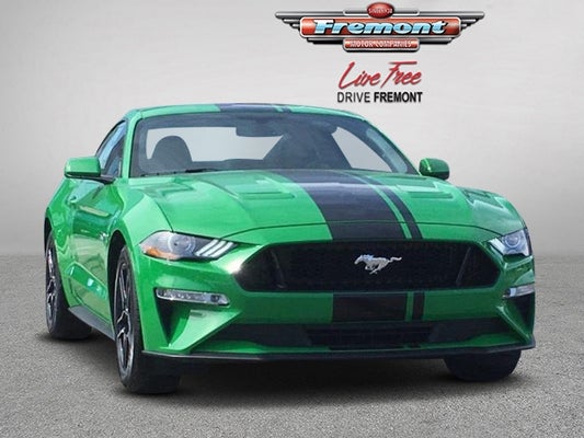2019 Ford Mustang Gt Fastback