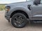 2024 Ford F-150 XLT Black Appearance Pkg.