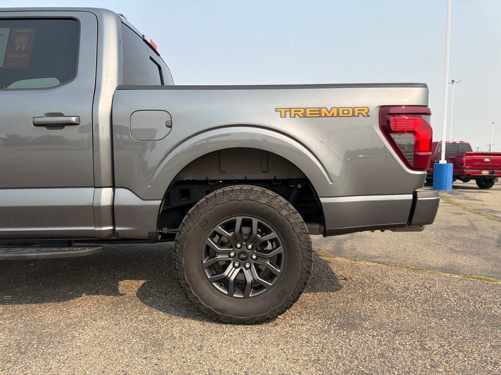 2025 Ford F-150 Tremor - Photo 13