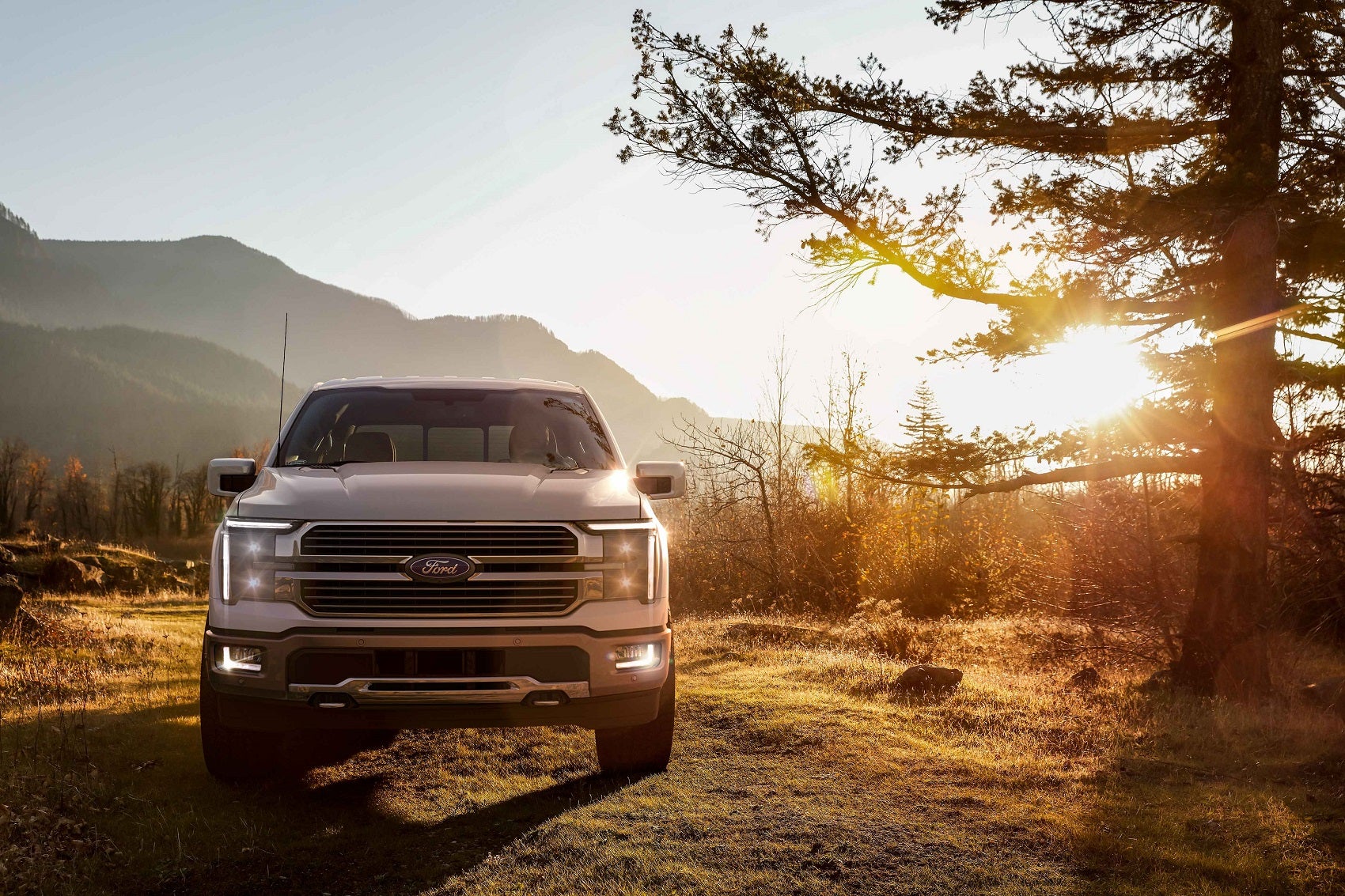 About the Ford F-150