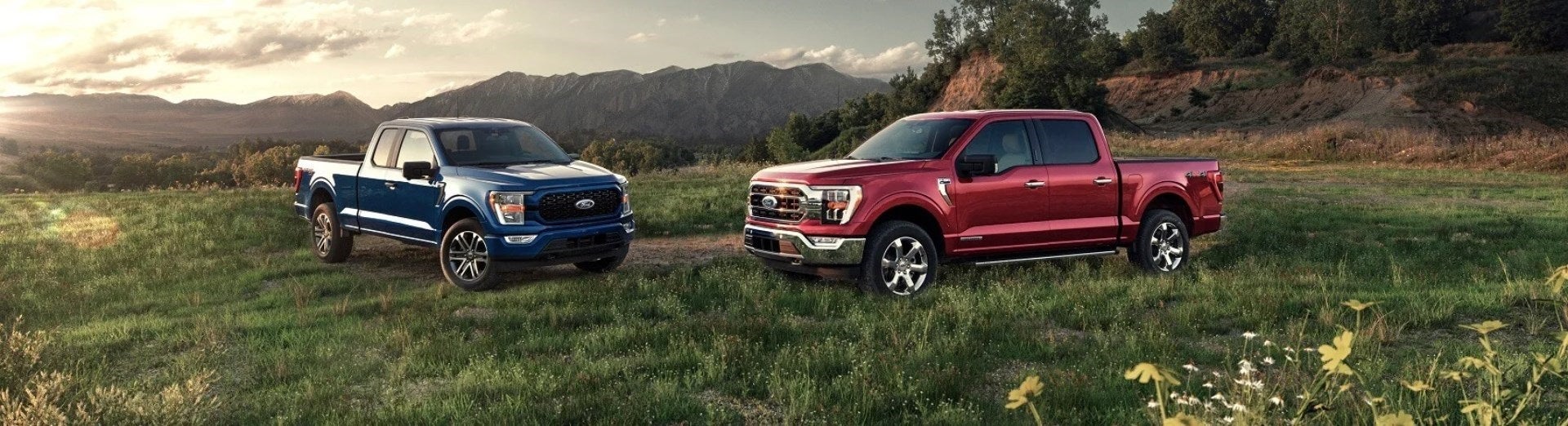 Ford Dealer Ranchester WY
